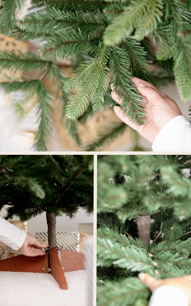 Nordmann abete Nordlys - Albero di Natale HAVN Premium