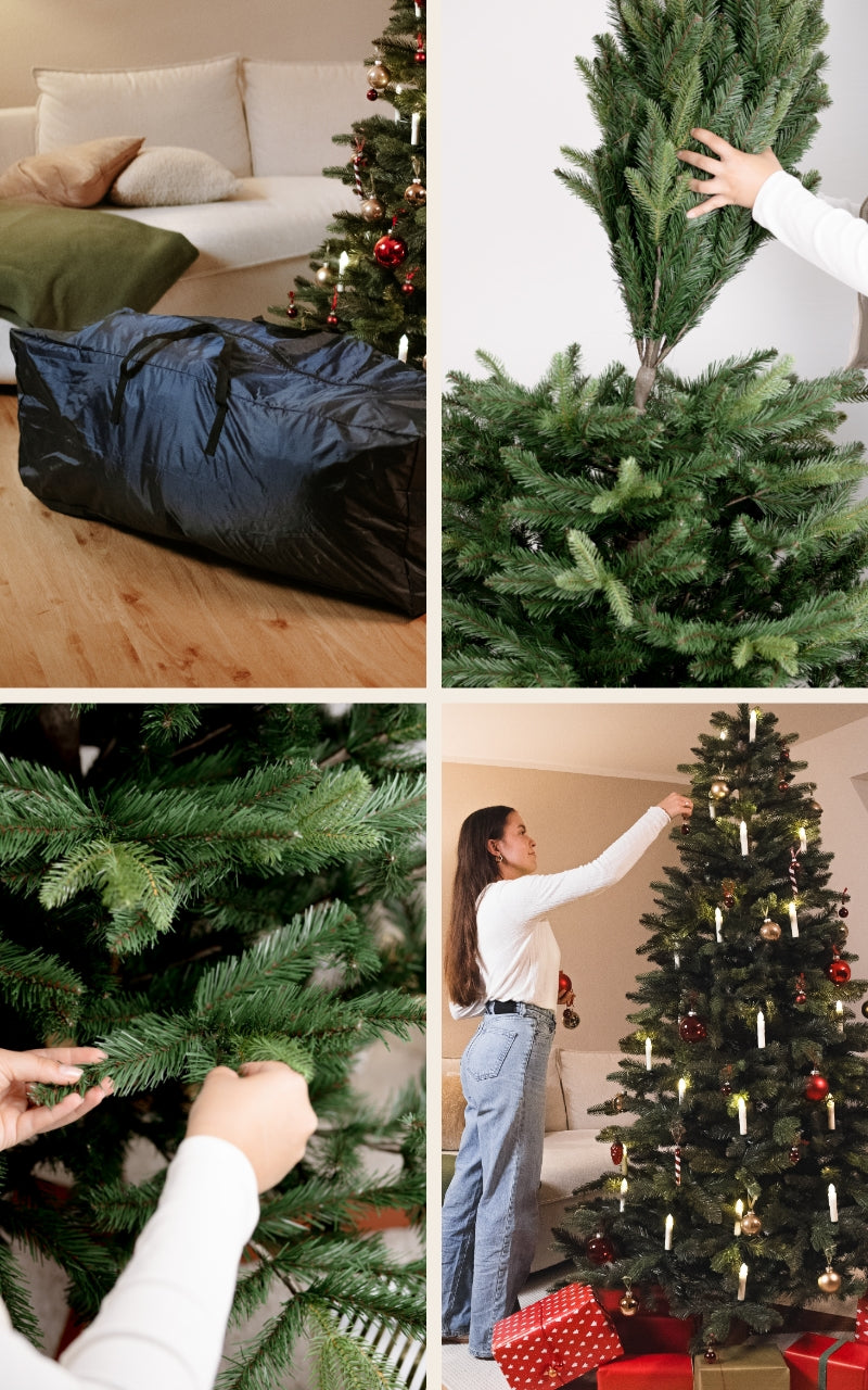 Nordmann abete Nordlys - Albero di Natale HAVN Premium